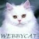 WebbyCat